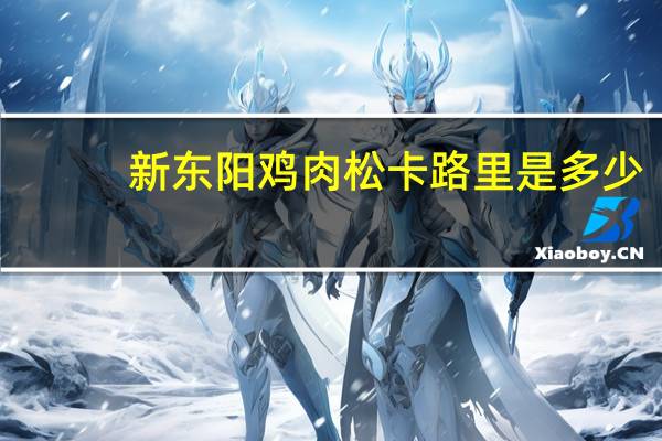 新东阳 鸡肉松卡路里是多少