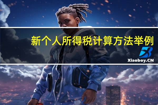 新个人所得税计算方法举例(新个人所得税计算方法是什么)