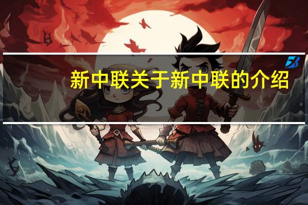 新中联 关于新中联的介绍