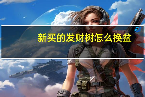 新买的发财树怎么换盆