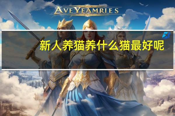 新人养猫养什么猫最好呢