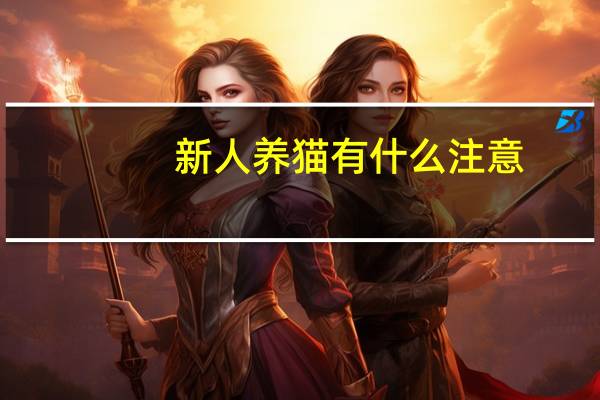 新人养猫有什么注意
