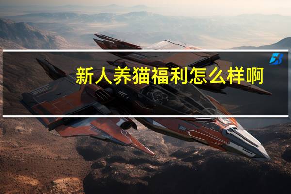 新人养猫福利怎么样啊