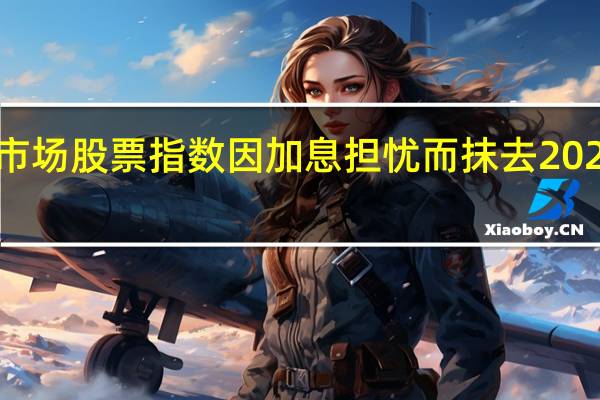 新兴市场股票指数因加息担忧而抹去2023年的涨幅