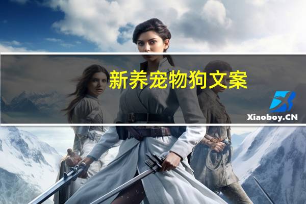 新养宠物狗文案