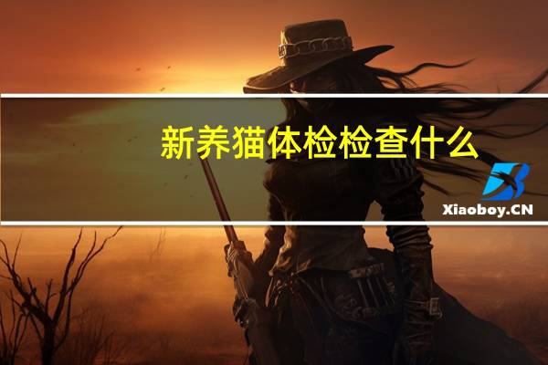新养猫体检检查什么