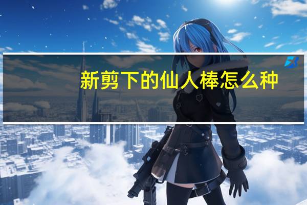 新剪下的仙人棒怎么种