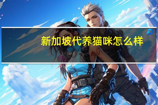 新加坡代养猫咪怎么样