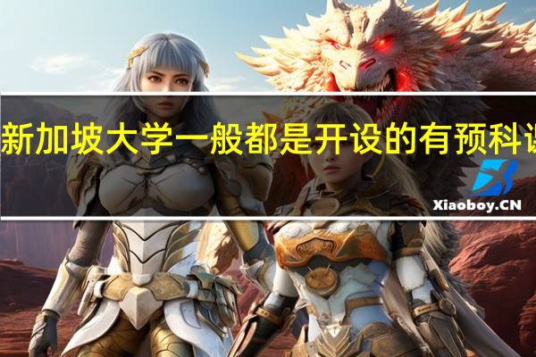 新加坡大学一般都是开设的有预科课程的,都有什么要求