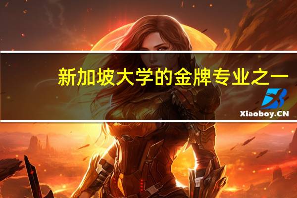 新加坡大学的金牌专业之一-物流与供应链管理专业，就业机会多发展前景广阔！