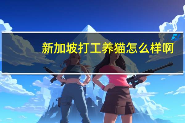 新加坡打工养猫怎么样啊