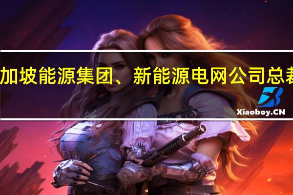 新加坡能源集团、新能源电网公司总裁邱秀金 ：新加坡能源集团正在推动向低碳未来转型