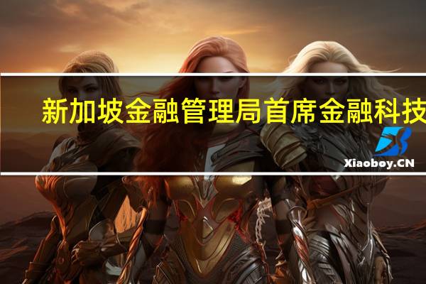 新加坡金融管理局首席金融科技官：新加坡希望在人工智能领域发挥长期作用从加密货币中吸取了关于急于创新的教训