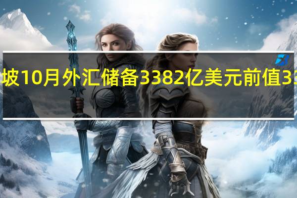 新加坡10月外汇储备 3382亿美元前值3374亿美元