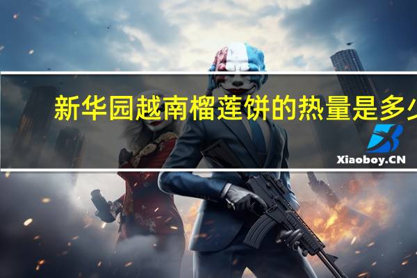 新华园 越南榴莲饼的热量是多少