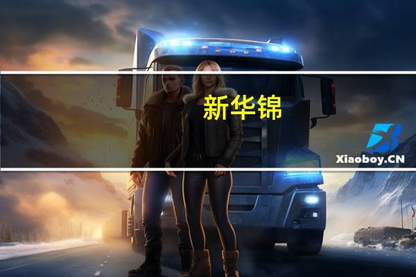 新华锦：人民币汇率波动对公司业务发展具有正向影响