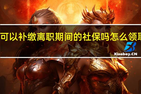 新单位可以补缴离职期间的社保吗　怎么领取电子社保卡