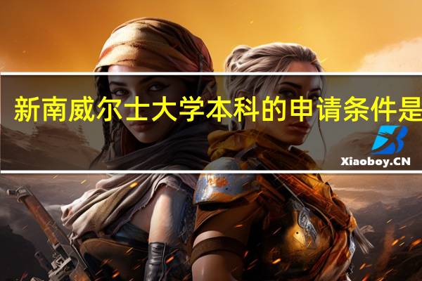 新南威尔士大学本科的申请条件是什么