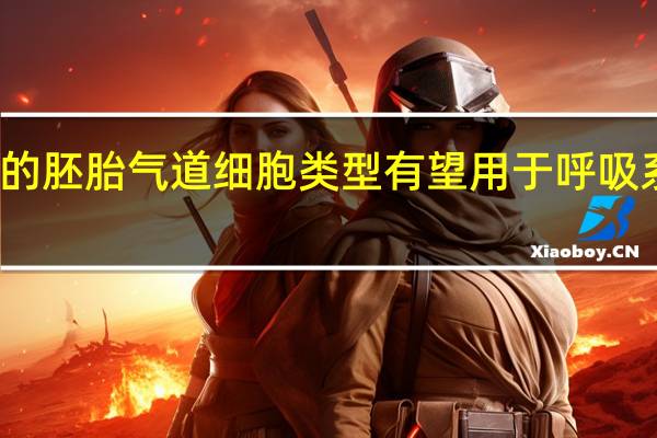 新发现的胚胎气道细胞类型有望用于呼吸系统疾病治疗