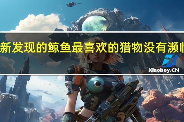 新发现的鲸鱼最喜欢的猎物没有濒临灭绝