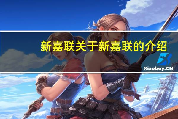 新嘉联 关于新嘉联的介绍