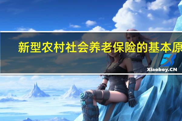 新型农村社会养老保险的基本原则（新型农村社会养老保险新政策简介）