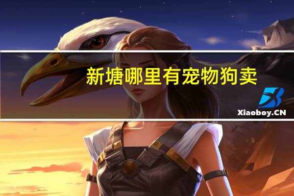 新塘哪里有宠物狗卖