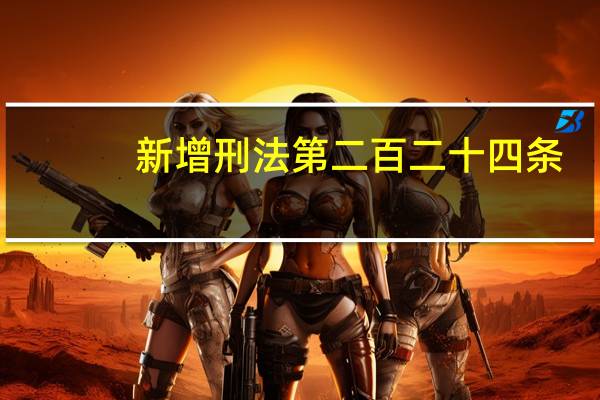 新增刑法第二百二十四条（新刑法第二百二十四条）