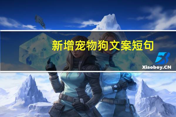 新增宠物狗文案短句
