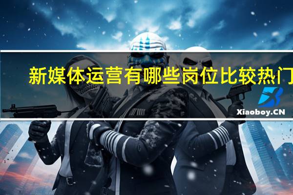 新媒体运营有哪些岗位比较热门的