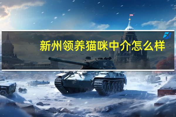 新州领养猫咪中介怎么样