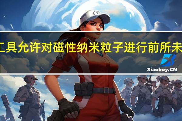 新工具允许对磁性纳米粒子进行前所未有的建模