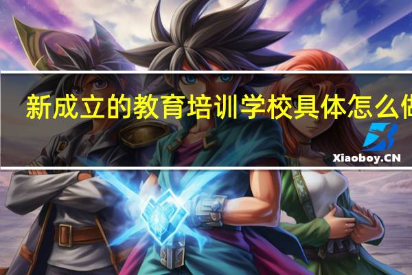 新成立的教育培训学校具体怎么做账