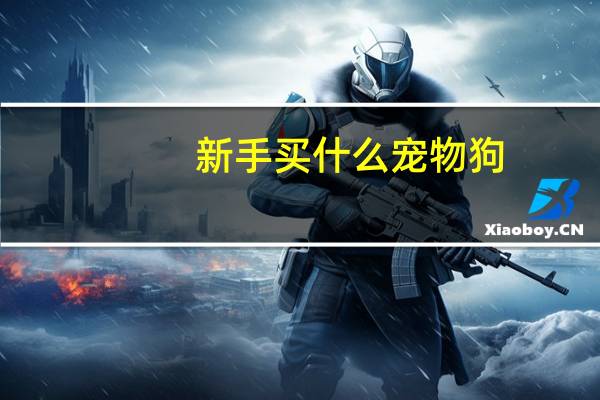 新手买什么宠物狗