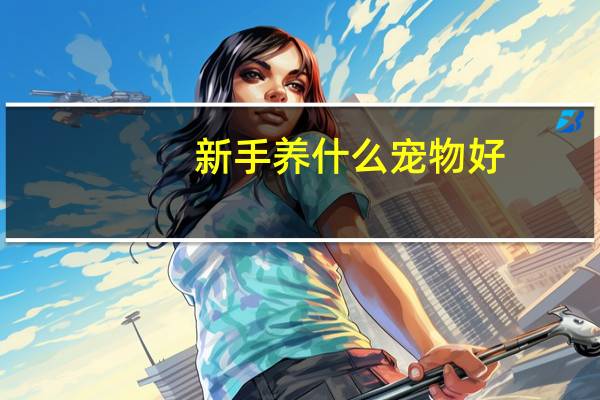 新手养什么宠物好