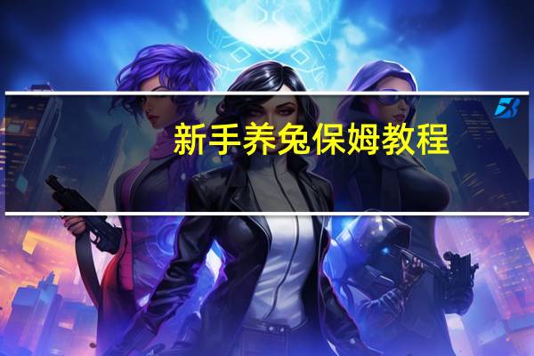 新手养兔保姆教程（兔保姆饲料简介）