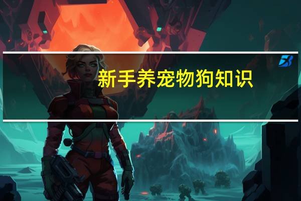 新手养宠物狗知识