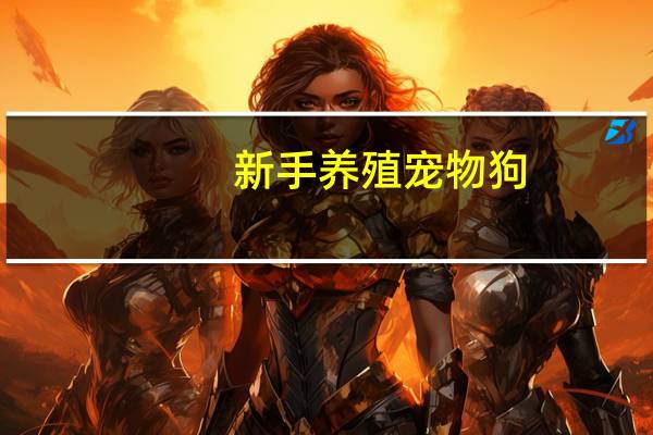 新手养殖宠物狗