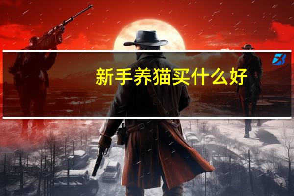 新手养猫买什么好