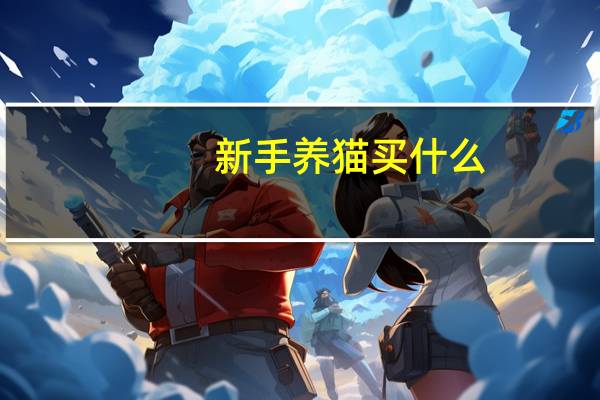 新手养猫买什么