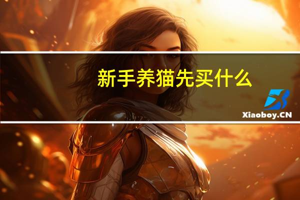 新手养猫先买什么