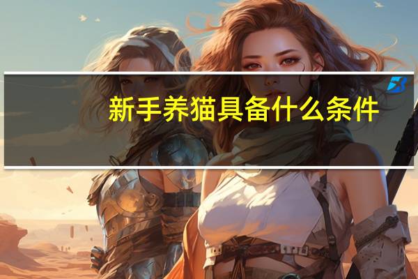 新手养猫具备什么条件