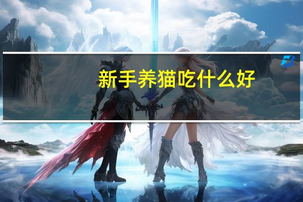 新手养猫吃什么好
