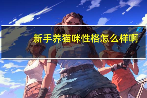 新手养猫咪性格怎么样啊