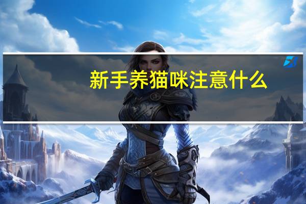 新手养猫咪注意什么