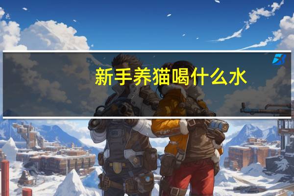 新手养猫喝什么水