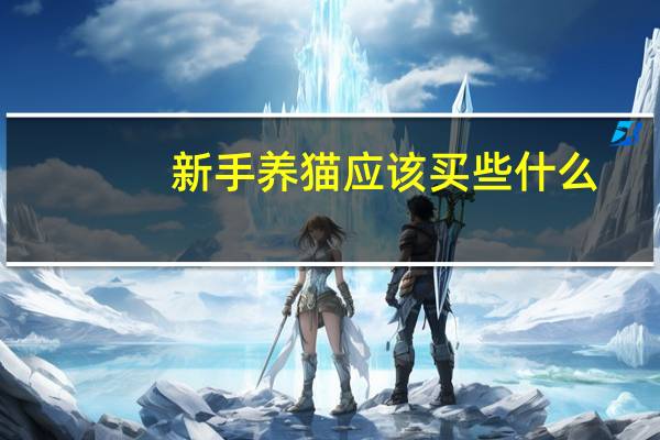 新手养猫应该买些什么