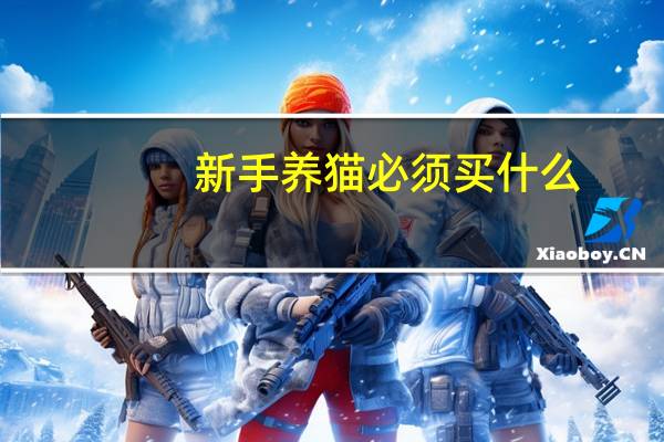 新手养猫必须买什么