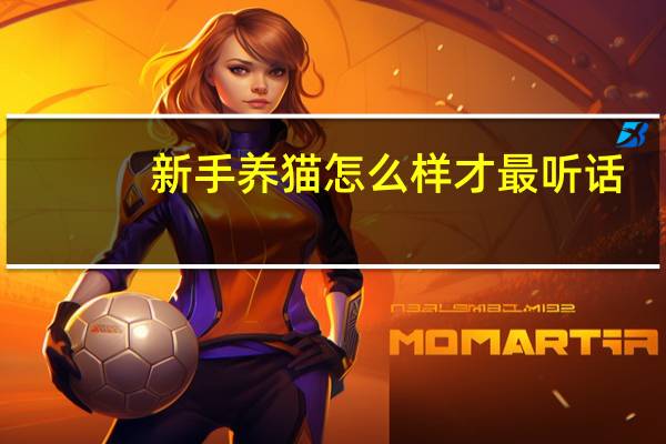 新手养猫怎么样才最听话