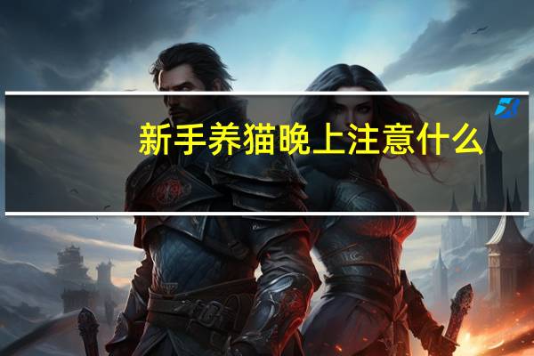 新手养猫晚上注意什么